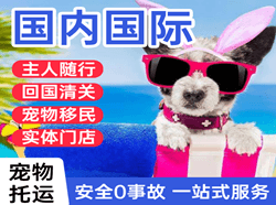 新郑空运国际宠物托运 【国